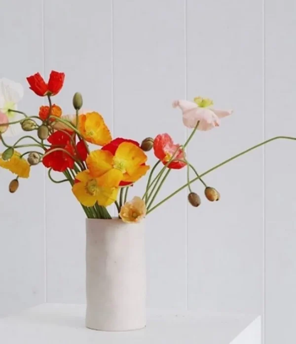 Marmoset Found Decorating | Vases & Vessels | Cloud Vase Chalk (M)