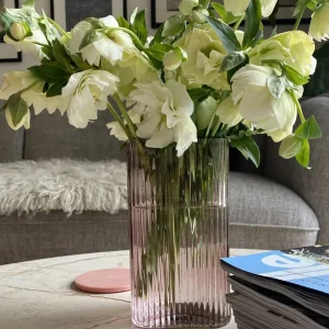Marmoset Found Glass Vases | Decorating | Profile Vase Rose (M)