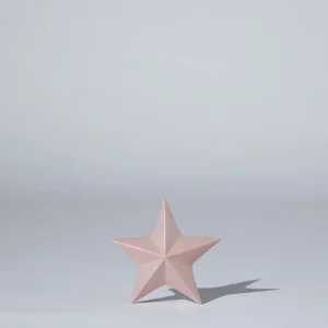 Marmoset Found Ceramics | Star Decoration Icy Pink