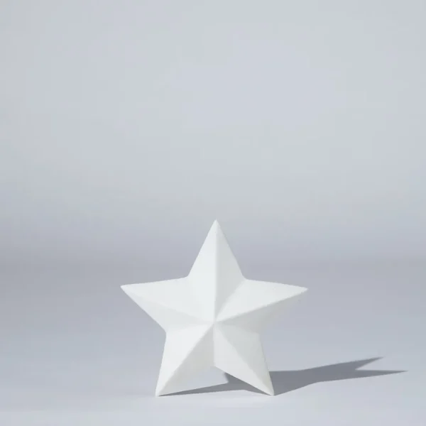 Marmoset Found Ceramics | Star Decoration Snow (XL)